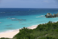 South_shore_beach_bermuda